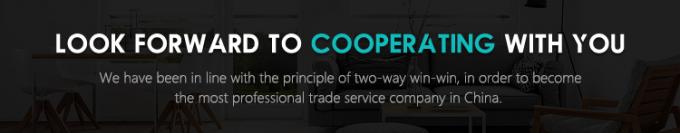 الکساندریت مینی لوازم زیبایی قابل حمل Smart Touch Power Supply Part Bison Light And Easy 755nm مینی ماشین الکساندریت 755nm لیزر موهای پاک کننده 11